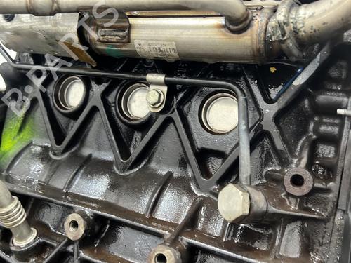 Used Engine Engine RENAULT MEGANE II Saloon (LM0/1_) [2003-2026] 33725972 33725972