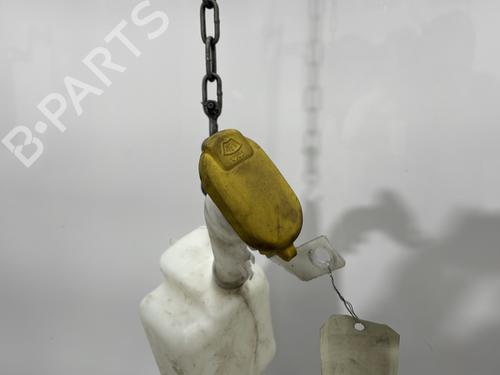 Windscreen washer tank RENAULT CLIO III (BR0/1, CR0/1) 1.2 16V Hi-Flex (BR1U, CR1U) | BP29976657C113