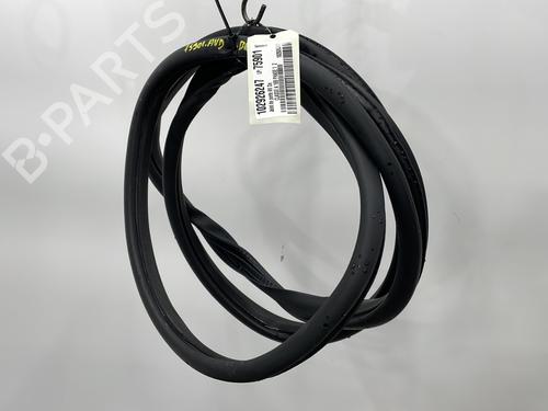 Rubber door seal MERCEDES-BENZ A-CLASS (W169) A 180 CDI (169.007, 169.307) | BP24409507C142 