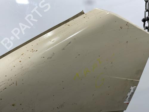 Left front fenders RENAULT TRAFIC Van (T_, P_, V_) 1.6 | BP29338482C41 