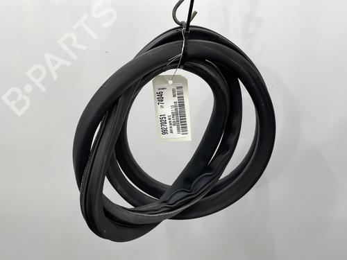 Used Rubber door seal SEAT IBIZA IV (6J5, 6P1) 1.9 TDI (90 hp) 22756811