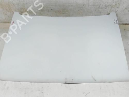 Used Hood RENAULT RAPID Box Body/MPV (F40_, G40_) 1.2 (F406, G40A) (55 hp) 20397821