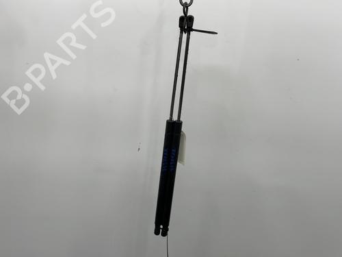 Tailgate lift support FORD S-MAX (WA6) 2.0 TDCi | BP20418136C138 