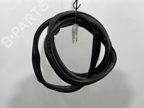 Gummiliste FORD TRANSIT CUSTOM V362 Van (FY, FZ) 2.2 TDCi (125 hp) 31631394