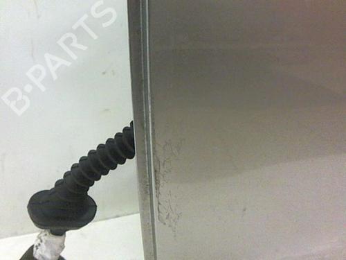 Left rear door NISSAN PRIMERA Hatchback (P12) 2.2 dCi | BP20461730C4 