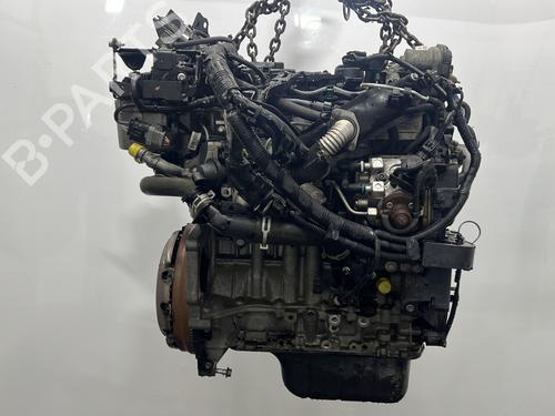 Motor FORD FIESTA VI (CB1, CCN) 1.5 TDCi (75 hp) 30137062