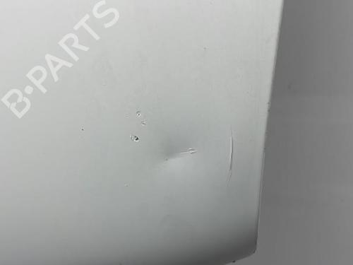 Hood FIAT DUCATO Van (230_) 2.5 D | BP20420420C1 