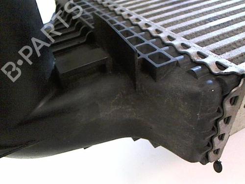 Intercooler MERCEDES-BENZ GL-CLASS (X164) GL 420 CDI 4-matic (164.828) | BP20432646M30 