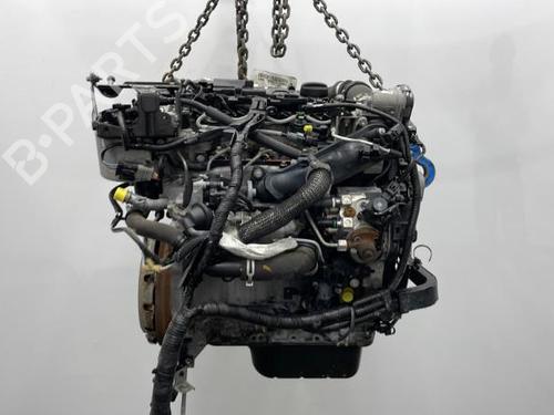 Used Engine FORD FIESTA VI (CB1, CCN) 1.5 TDCi (75 hp) 20422223