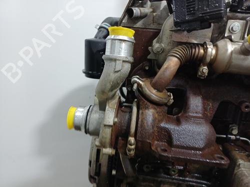 Engine FORD TRANSIT CONNECT (P65_, P70_, P80_) 1.8 Di | BP34146090M1 - Image 9
