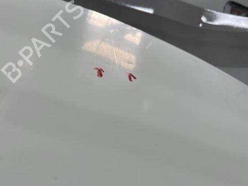 Right slide door FIAT FIORINO Box Body/MPV (225_) 1.3 D Multijet (225BXD1A, 225BXB1A, 225BXB11) | BP20396744C75 