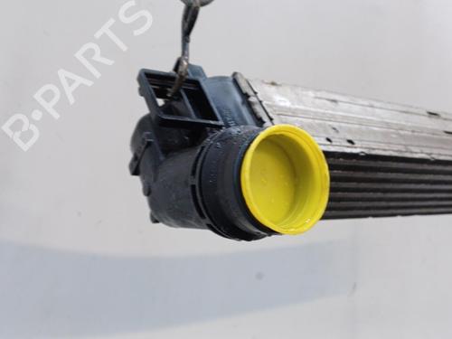 Used Intercooler Intercooler RENAULT MEGANE III Grandtour (KZ0/1) 1.5 dCi (KZ1M, KZ1W, KZ0R) (106 hp) 20450127 20450127
