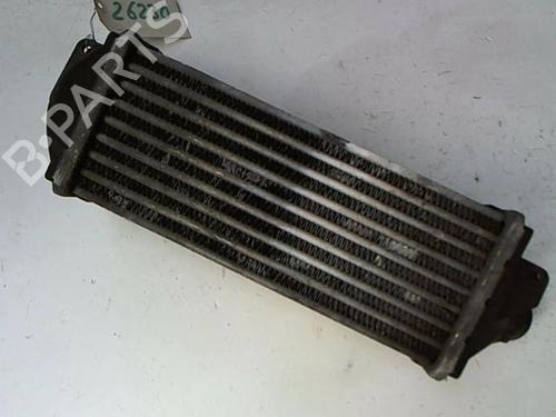 Intercooler OPEL ASTRA F Estate (T92) 1.7 TD (F35, M35) | BP20415059M30 