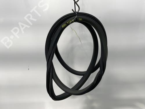 Used Rubber door seal CITROËN DS4 (NX_) 2.0 HDi 165 (163 hp) 24320105