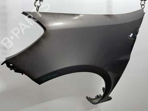Left front fenders RENAULT CLIO III (BR0/1, CR0/1) 1.5 dCi (C/BR0G, C/BR1G) | BP20388759C41 