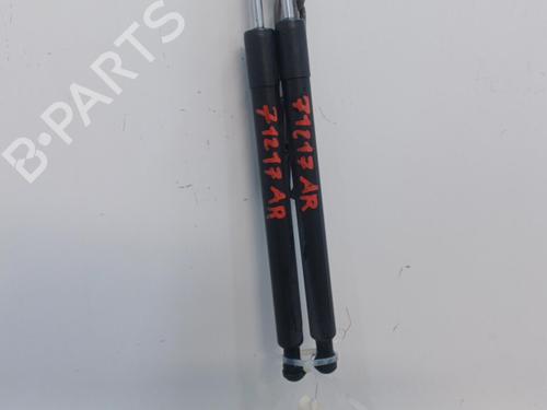 Tailgate lift support RENAULT CLIO III (BR0/1, CR0/1) 1.5 dCi (BR17, CR17) | BP20396262C138 