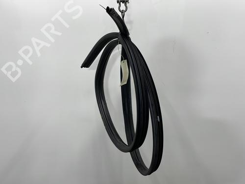 Gummiliste DACIA SANDERO 1.5 dCi | BP28962952C142 - Image 3