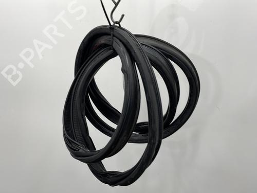 Rubber door seal RENAULT MEGANE III Hatchback (BZ0/1_, B3_) 2.0 dCi (BZ0L) | BP25732470C142 