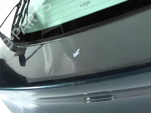 Tailgate FORD PUMA (EC_) 1.4 16V | BP20454287C6 