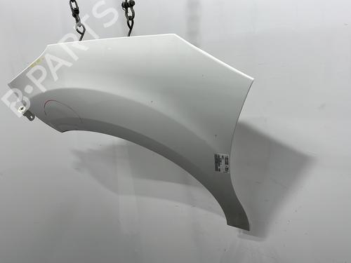 Left front fenders CITROËN C3 II (SC_) 1.4 HDi 70 (SC8HZC, SC8HR0, SC8HP4) | BP31679248C41 