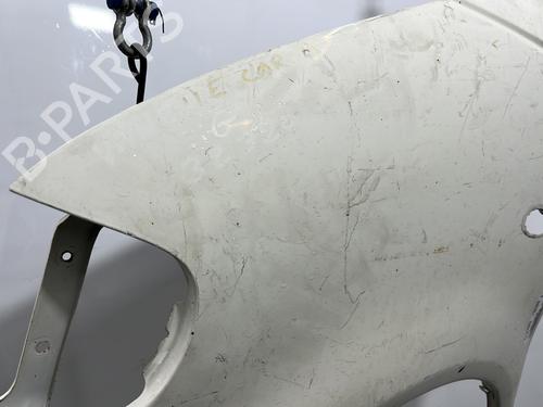Left front fenders FORD TOURNEO CONNECT / GRAND TOURNEO CONNECT V761 MPV (SK)  | BP29375276C41 