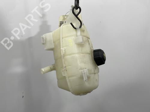 Expansion tank RENAULT KANGOO Express (FW0/1_) 1.5 dCi 95 (FW16) | BP29545189C120 