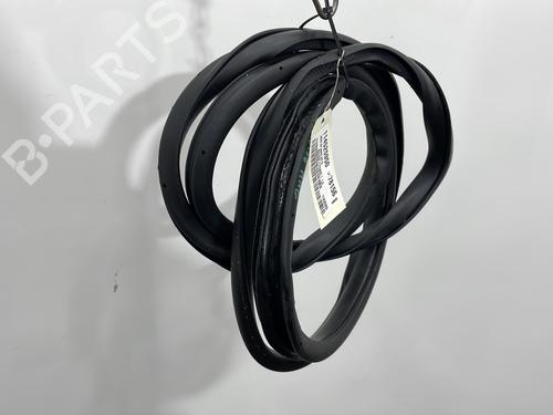 Rubber door seal RENAULT KOLEOS II (HC_) 1.6 dCi 130 | BP29976574C142