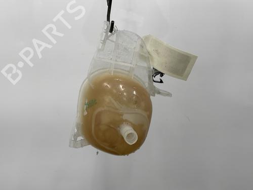 Expansion tank RENAULT TWINGO III (BCM_, BCA_) 1.0 SCe 70 | BP24654059C120 