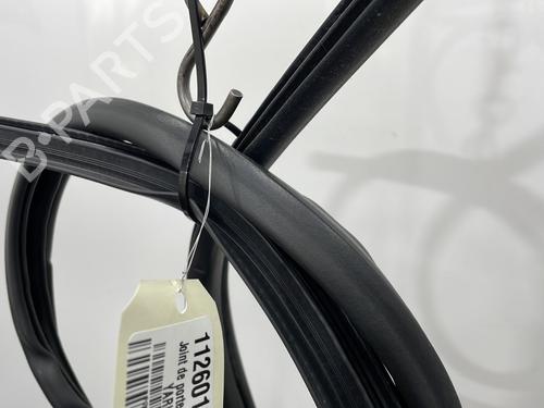 Rubber door seal TOYOTA YARIS (_P1_) 1.3 (SCP12_, SCP13_, SCP12R, SCP13R) | BP29603905C142 