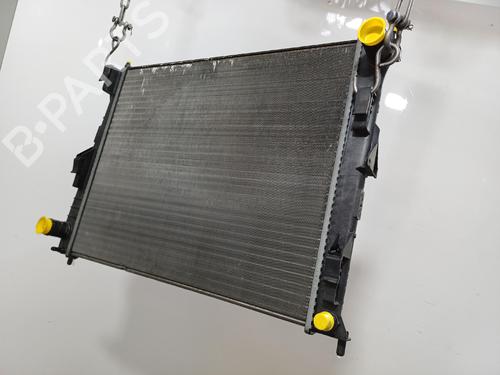 Used Water radiator Water radiator RENAULT CLIO III (BR0/1, CR0/1) 1.2 16V (BR02, BR0J, BR11, CR02, CR0J, CR11) (75 hp) 39607258 39607258