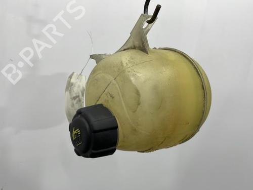 Expansion tank RENAULT MEGANE I (BA0/1_) 1.9 dTi (BA1U) | BP20387107C120 