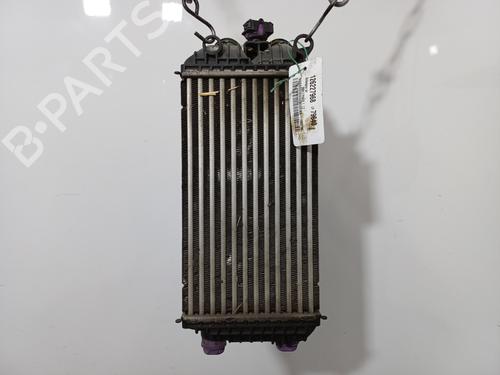 Intercooler Intercooler PEUGEOT 2008 II (UD_, US_, UY_, UJ_, UR_, UC_) 1.2 PureTech 100 (USHNK) (101 hp) 36438463 36438463