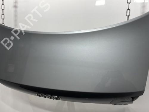 Tailgate AUDI A4 B7 (8EC) 2.0 TFSI quattro | BP20393036C6 