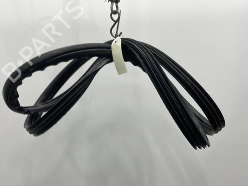 Used Rubber door seal RENAULT CLIO III (BR0/1, CR0/1) 1.5 dCi (C/BR0G, C/BR1G) (68 hp) 20445923