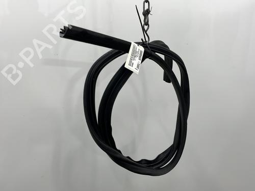 rubber-door-seal-ford-focus-ii-da_-hcp-dp-2004-2005-2006-2007-2008-2009-2010-2011-2012-2013-23778944 main image