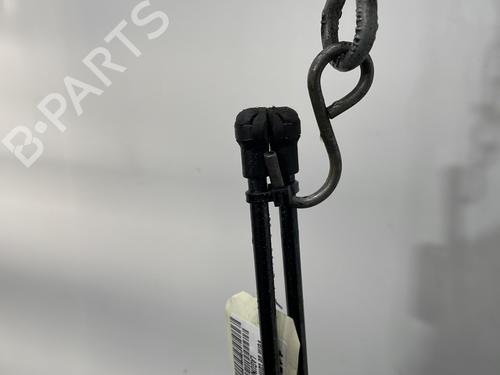 Tailgate lift support RENAULT LAGUNA III (BT0/1) 2.0 dCi (BT01, BT08, BT09, BT0E, BT0K, BT12, BT1C, BT1D,... | BP30548114C138