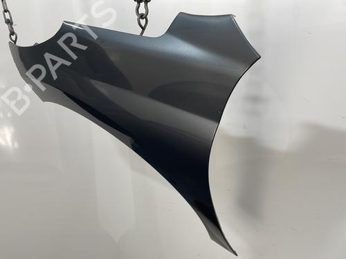 Left front fenders PEUGEOT 207 (WA_, WC_) 1.4 HDi | BP29625677C41 