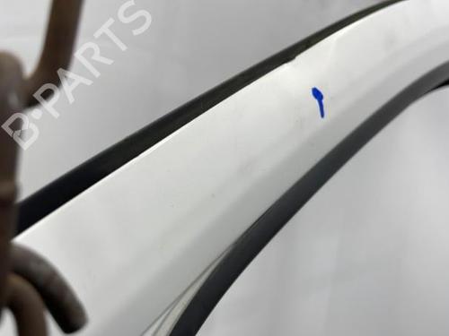 Left front door FIAT FIORINO Box Body/MPV (225_) 1.3 D Multijet (225BXD1A, 225BXB1A, 225BXB11) | BP20396745C2