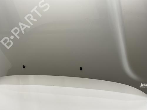 Capot Capot HYUNDAI SANTA FÉ I (SM) 2.0 CRDi 4x4 (125 hp) 26964578 26964578