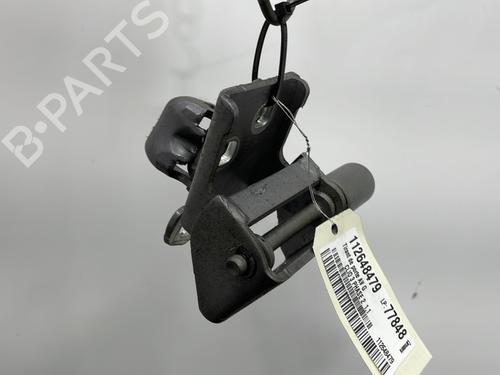Hinge/Door check strap RENAULT CLIO III (BR0/1, CR0/1) 1.2 16V Hi-Flex (BR1U, CR1U) | BP29338441C146 