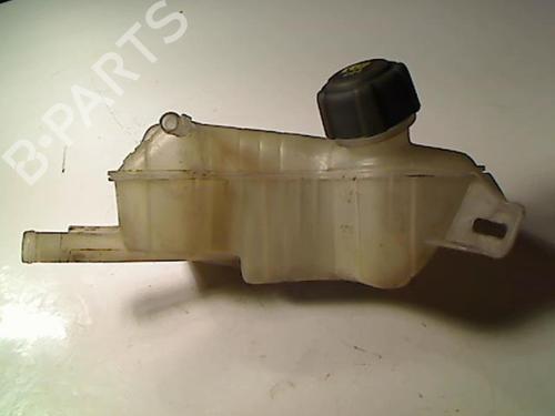 Expansion tank RENAULT SCÉNIC II (JM0/1_) 1.9 dCi (JM0G, JM12, JM1G, JM2C) | BP20435885C120 