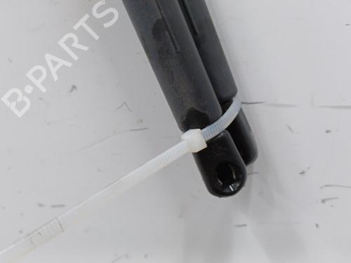 Used Tailgate lift support RENAULT MEGANE I (BA0/1_) 1.4 16V (BA0D, BA1H, BA0W, BA10) (95 hp) 21237544