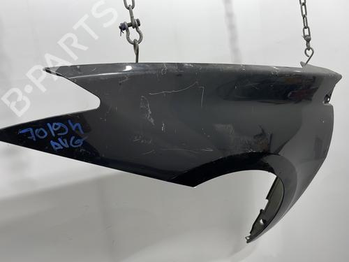 Left front fenders RENAULT LAGUNA III Grandtour (KT0/1) 2.0 dCi (KT07, KT0J, KT14, KT1A, KT1S) | BP20428327C41 