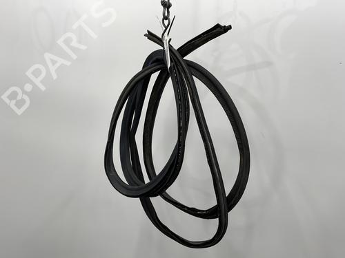 Rubber door seal RENAULT TRAFIC III Van (FG_) 1.6 dCi 90 (FGME) | BP25122600C142 