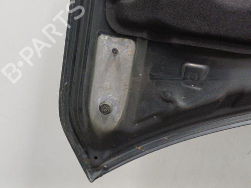 Hood RENAULT KOLEOS I (HY_) 2.0 dCi (HY0K) | BP20450527C1