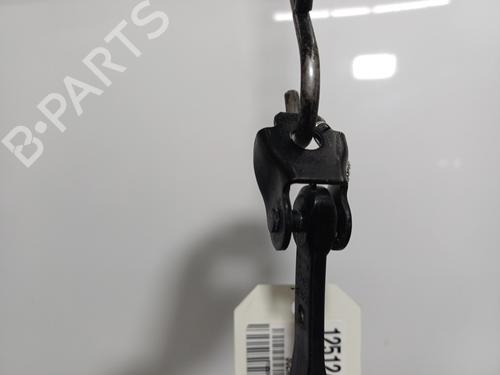 Bisagra/Limitador de puerta Bisagra/Limitador de puerta RENAULT SCÉNIC IV (J9_) 1.7 Blue dCi 120 (J9A7, J9A8) (120 hp) 34385316 34385316