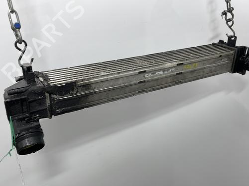 Intercooler RENAULT MEGANE III Coupe (DZ0/1_) 1.9 dCi (DZ0N, DZ0J, DZ1J, DZ1K) | BP29514092M30 