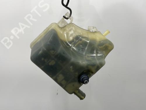 Expansion tank RENAULT LAGUNA I (B56_, 556_) 1.6 16V (B568, B561) | BP24173248C120 