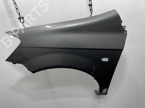 Left front fenders HYUNDAI GETZ (TB) 1.1 | BP20429449C41 