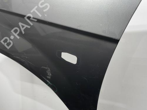 Left front fenders HYUNDAI GETZ (TB) 1.1 | BP20429449C41 